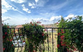 Casa individuala de vanzare - Sura Mare - Poză 9
