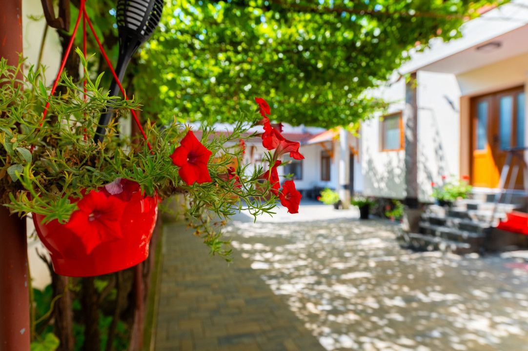 Casa + Pensiune deosebita - Orlat, Sibiu - Poză 50