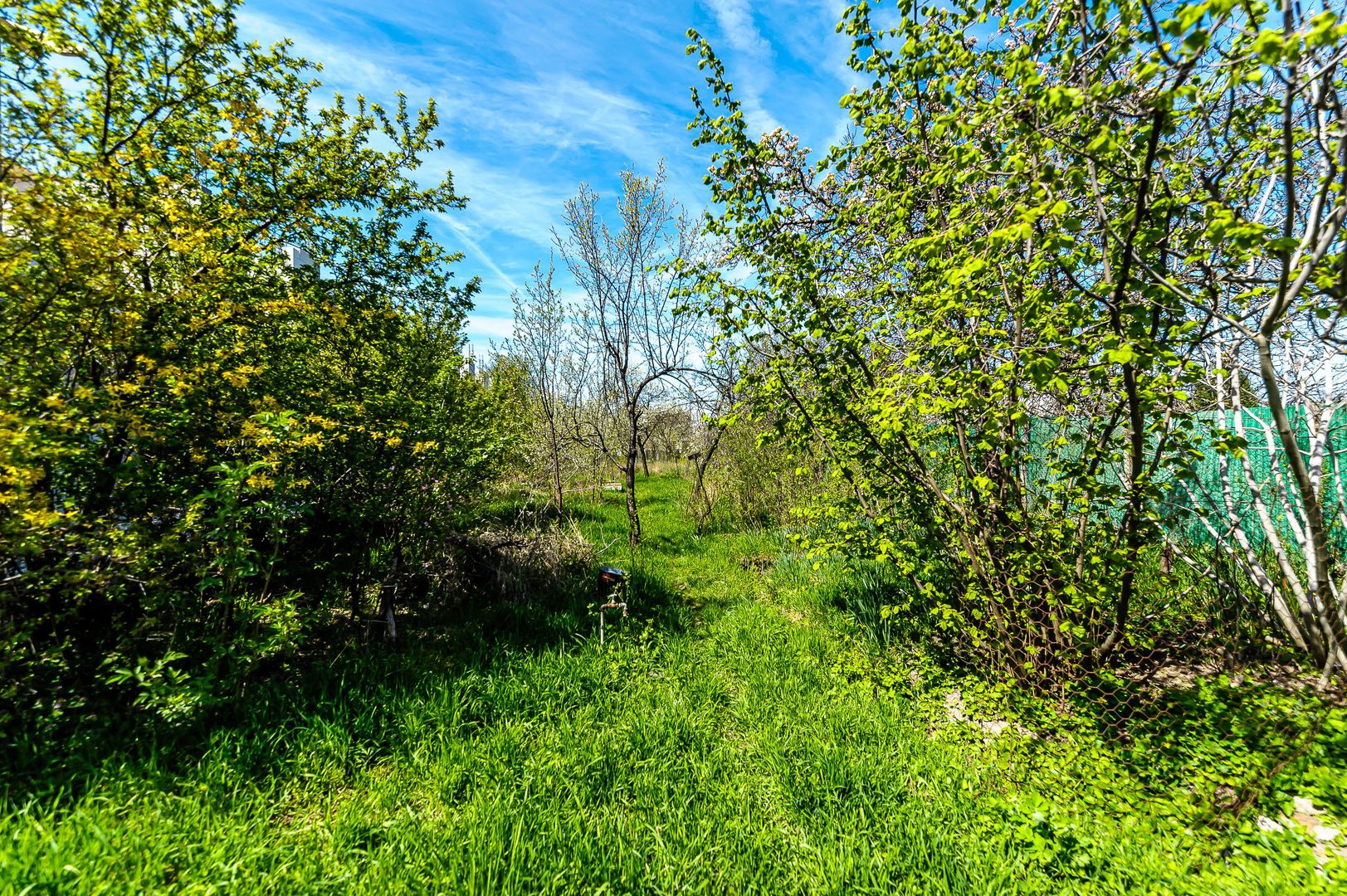 Casă veche cu teren generos într-o locație deosebită - oportunitate - Poză 8