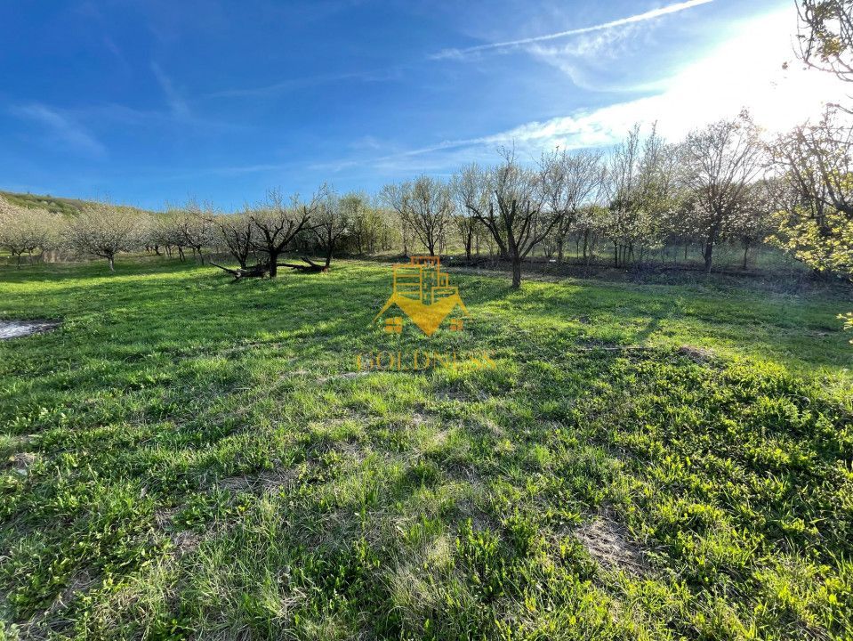 Tren Soporului Intravilan ,5500 MP Utilitati,  Oportunitate - Poză 2