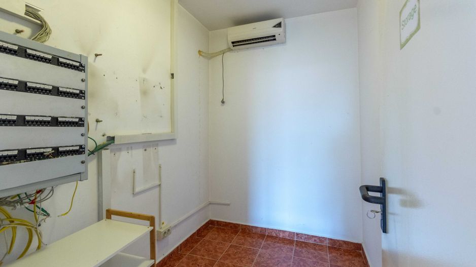 Aviatiei | Smaranda Braescu | Vila reprezentativa de inchiriat - Poză 38