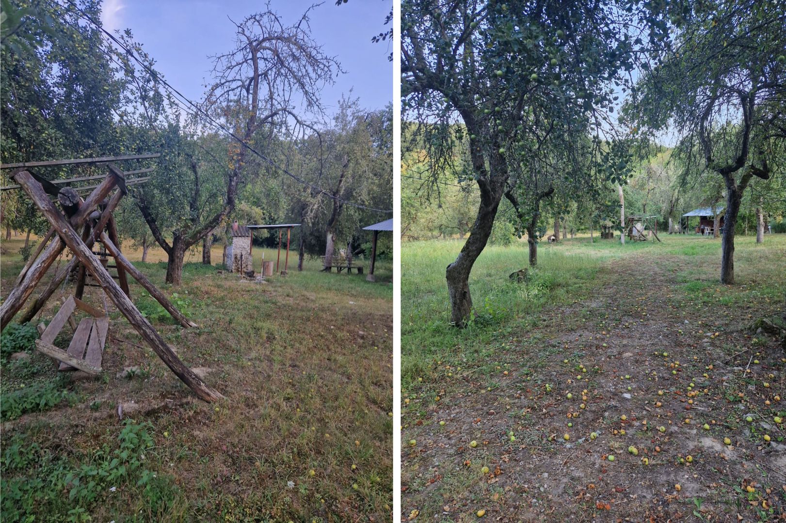 Teren de vacanță 5600 mp cu cabană, Utilitaiile Căsoaia jud Arad - Poză 6