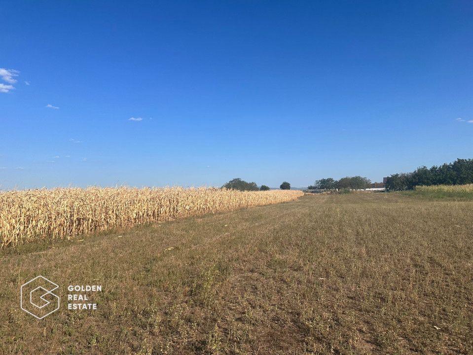 Teren intravilan, Zimandul Nou, posibilitate construire casa, 2200 mp - Poză 2