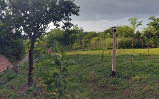 SAPIENT/TEREN INTRAVILAN 600 MP CU ANEXE ȘI PIVNITE - EPISCOPIA - Poză 10