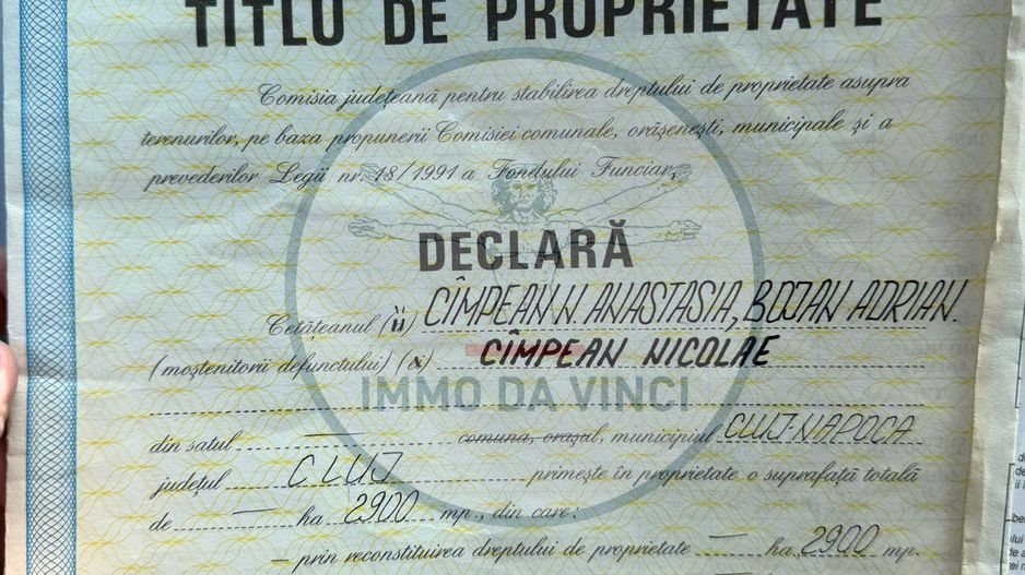 Vanzare teren itravilan Sanmartin,com. Chinteni CJ - Poză 7