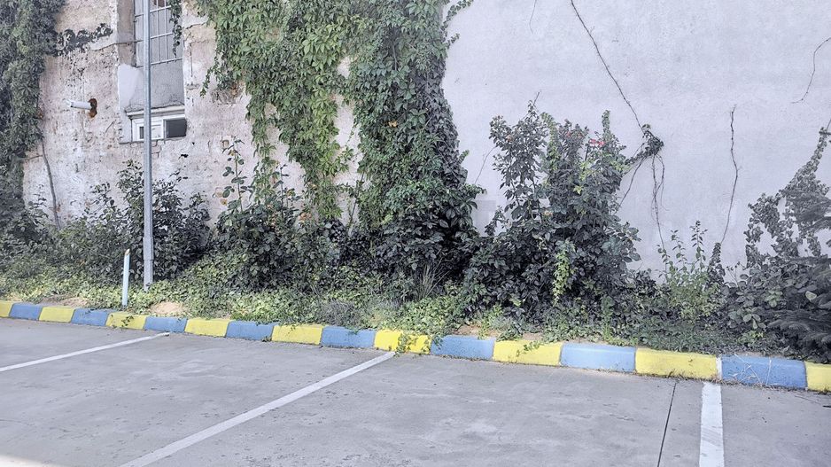 Zero comision, 202mp birou Foisor, paza, parcare, 10 min. mers metrou - Poză 10