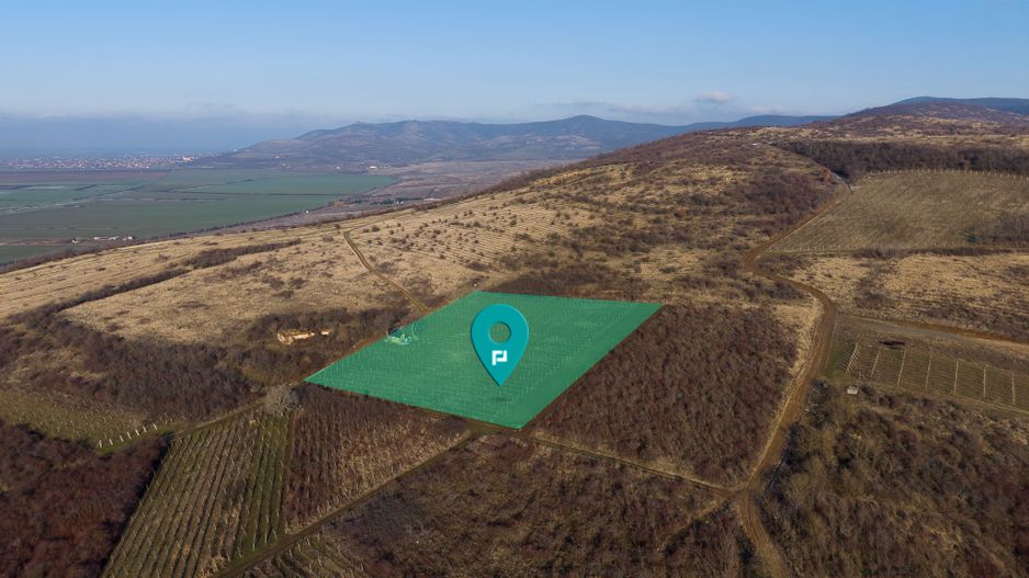 Vita-de-vie Premium  teren de 6800 mp în Covăsinț - Poză 1