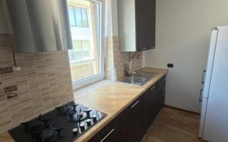 2 Camere openspace, Intre lacuri, FSEGA, Iulius Mall, Parcare, Modern - Poză 3