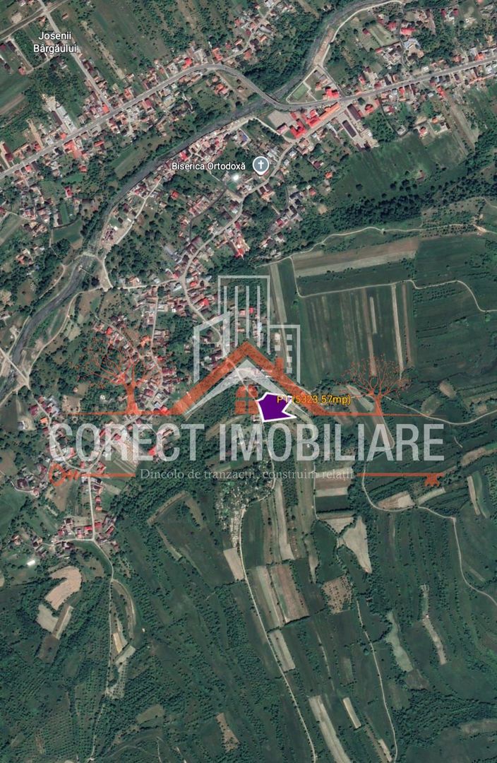 🌿 Teren de vânzare – Josenii Bargului - intravilan - Poză 3