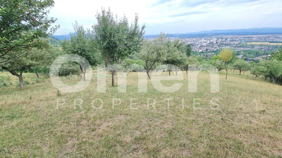 Teren de vânzare | Suprafață 10.040 mp | 2.500 € / ar | Strada Nucului - Poză 2
