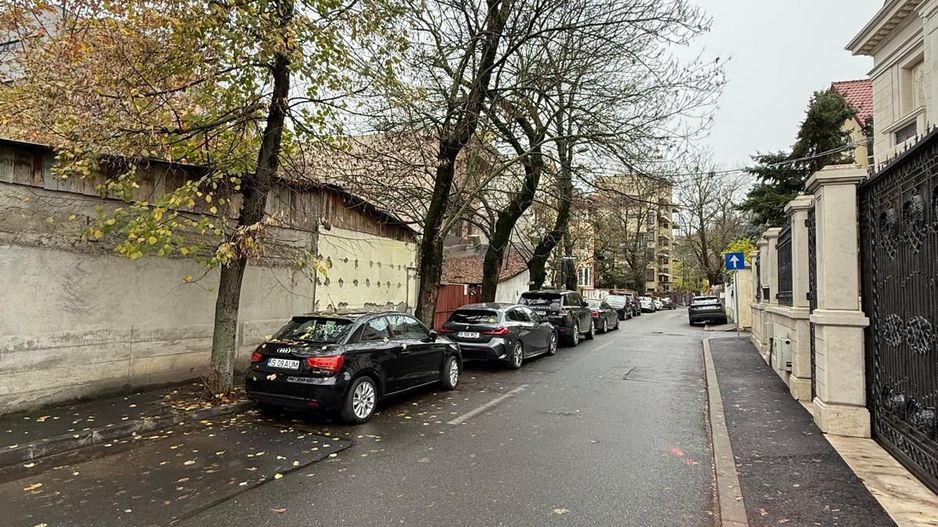 Teren Herastrau - Poză 3