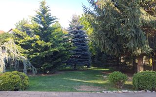 BRASADAS vinde vila 5 cam 190mp teren 10 ari str. Dara. - Poză 8