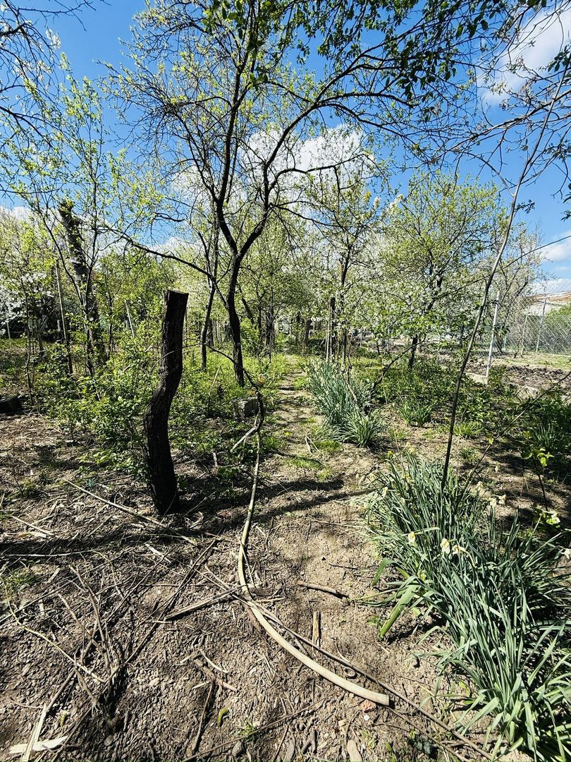 Ciarda Roșie | 2 case în curte | Teren 700 mp | Garaj | Toate utilitățile - Poză 7