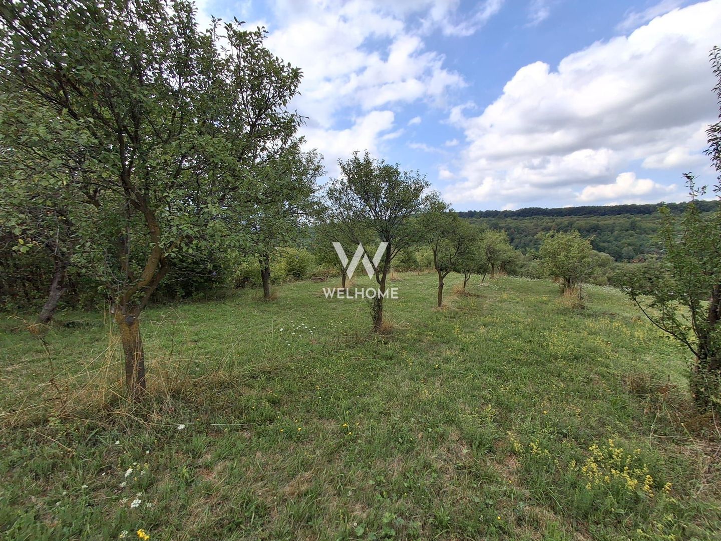 De vânzare teren extravilan în Sibiel, jud. Sibiu – 3223 mp - Poză 7