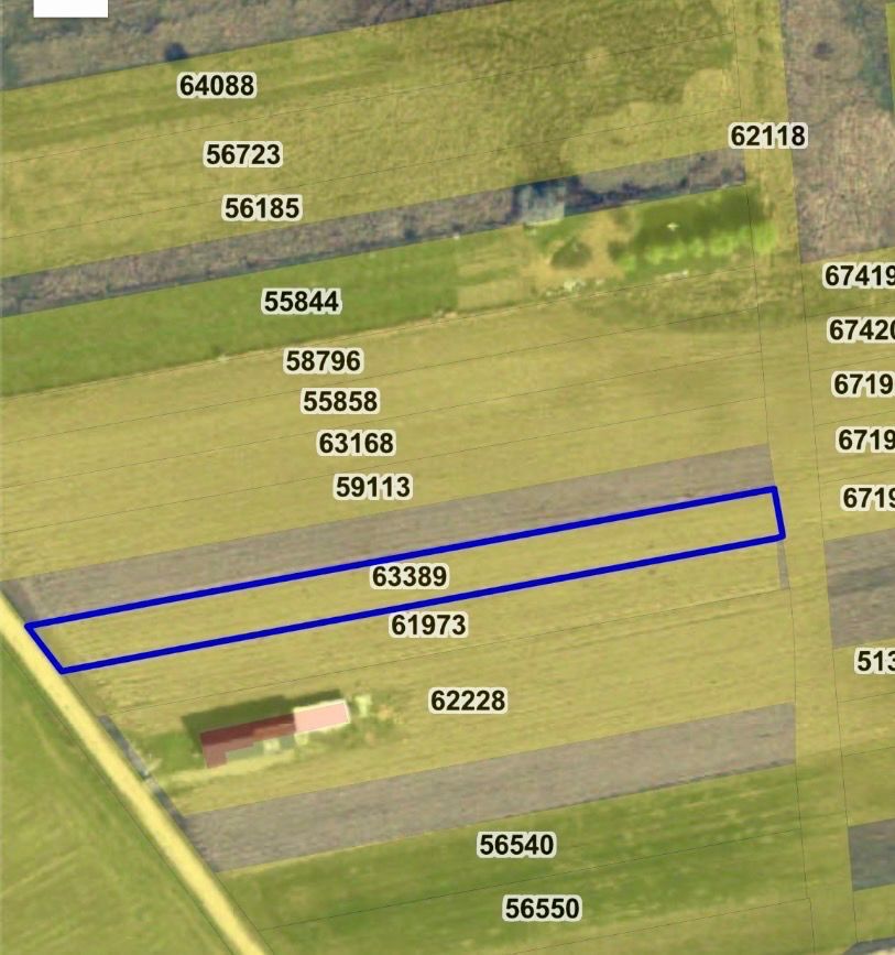 Teren intravilan – Oșorhei | 2878mp - Poză 1