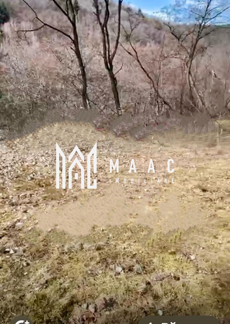 Teren | Intravilan | 1148 MP | Marginimea Sibiului - Poză 3