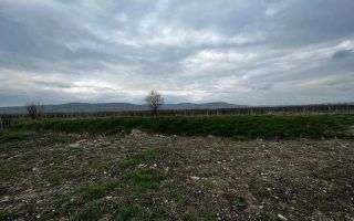 Teren intravilan I Oborul de Vite - Poză 1