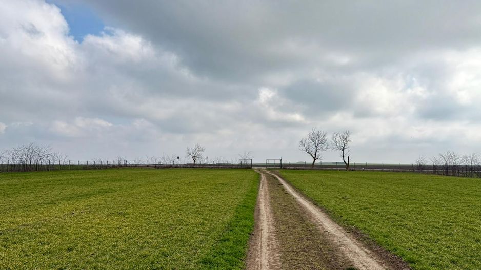 Teren de vanzare in Săcele ideal pentru silozuri, fermă 6 ha - Poză 16