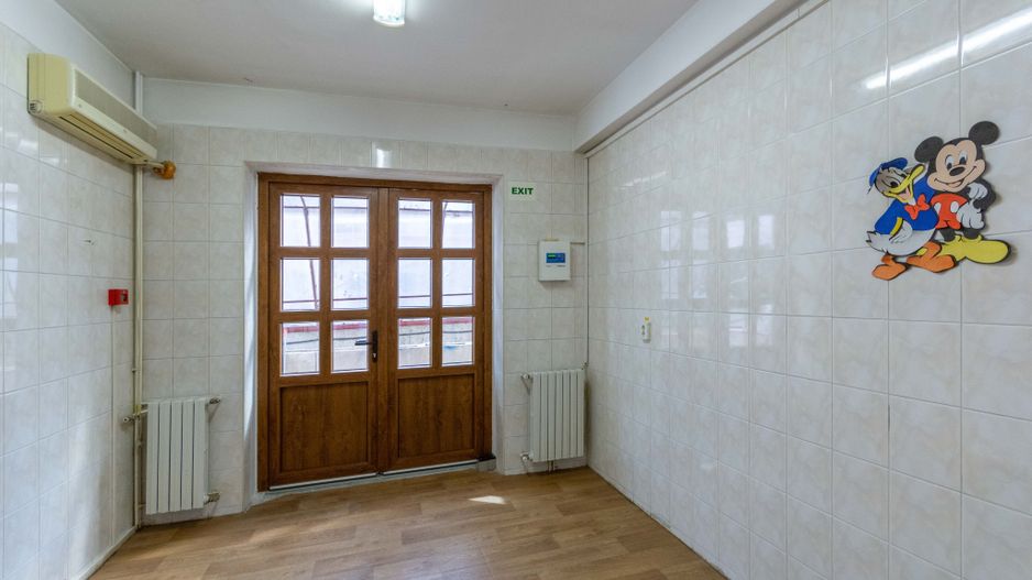 Aviatiei | Smaranda Braescu | Vila reprezentativa de inchiriat - Poză 18