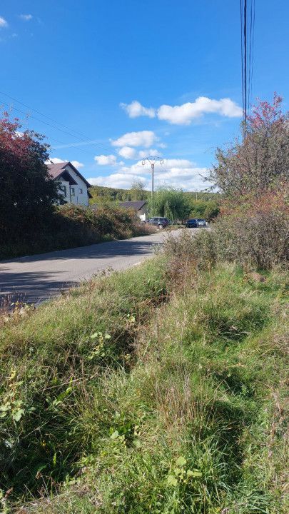 Vanzare teren intravilan, Smeura - Poză 3