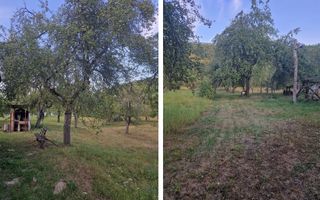 Teren de vacanță 5600 mp cu cabană, Utilitaiile Căsoaia jud Arad - Poză 4