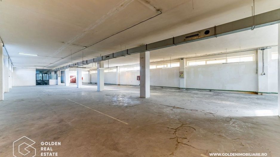 Hala pentu productie In zona Micalaca - Poză 4