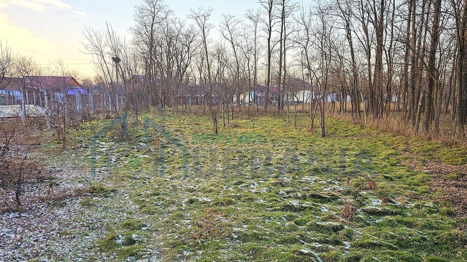 Particular, Vanzare urgenta Casa + teren com Grozesti jud Iasi - Poză 3