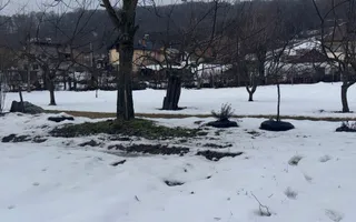 ANSAMBLU DE CASE CU 5 CAMERE 110MP TEREN 2530 MP BUGHEA DE JOS ARGEȘ - Poză 19