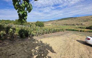 Teren extravilan parcelabil de 9.300 mp în Dorobanți/Aroneanu, aproape de Baza Nautică - Poză 5