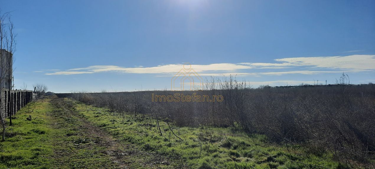 Vama Veche | Teren intravilan pentru investiții imobiliare! - Poză 2