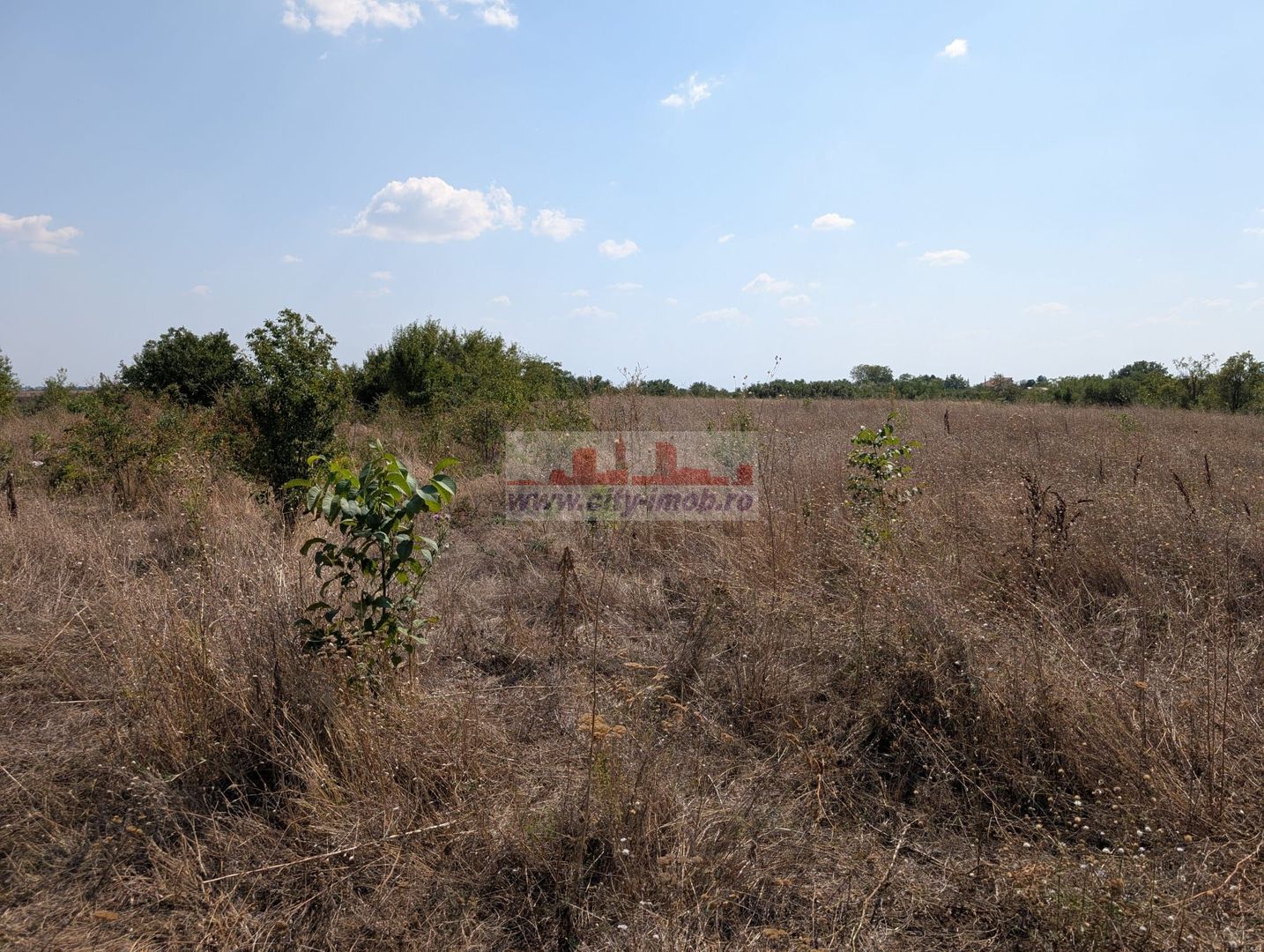 Teren de Vanzare Comuna Ciocanesti Jud Dambovita, 17.7 km de Bucuresti - Poză 2