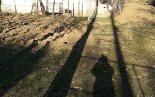 2 corpuri de casa 125 mp construiti + 1587 mp teten intravilan ! - Poză 5