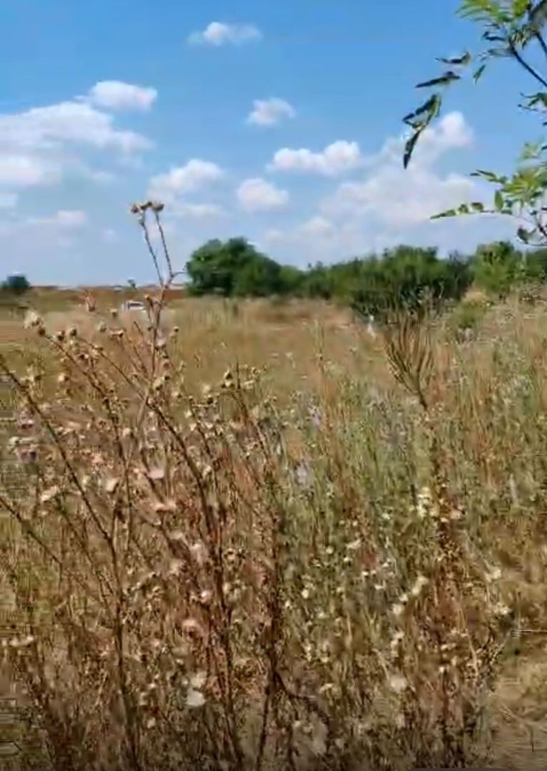 Pantelimon - Centura Bucuresti, teren 2500mp, D20ml, intravilan conf Noul PUG - Poză 6