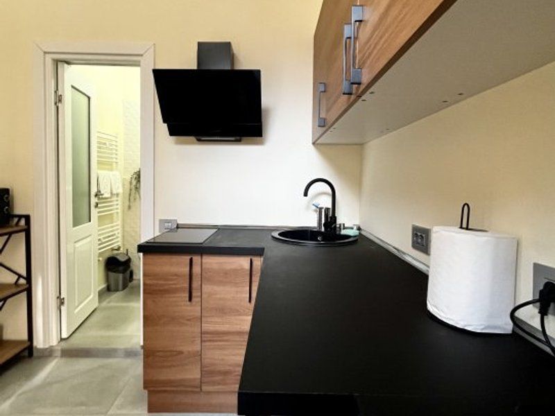 Apartament cu 2 camere, renovat si personalizat, in zona Centrala - Piața Traian - Poză 10