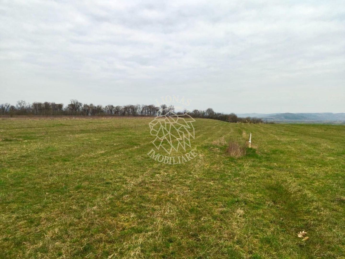 4 Loturi diferite-ideal cabane/investitii-Beclean 1 km de Baile Figa - Poză 2
