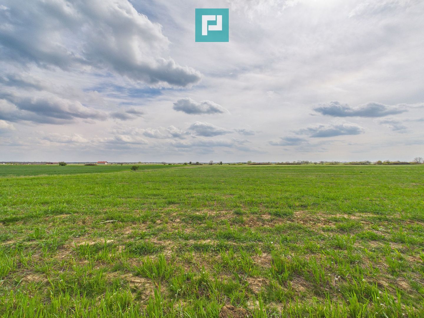 Teren extravilan 6150 mp - Giroc - Poză 1