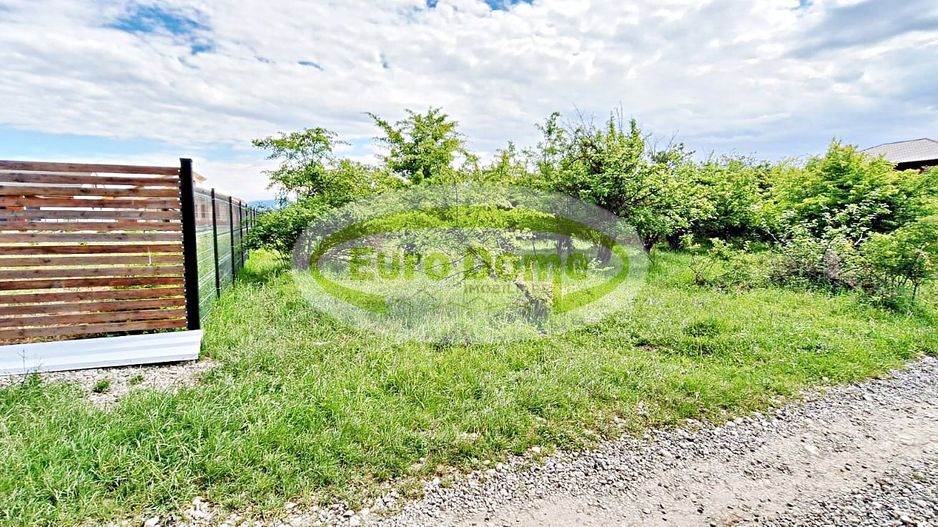 Sanpetru, str Nucului teren de 1290mp pret 42 euro/mp - Poză 4