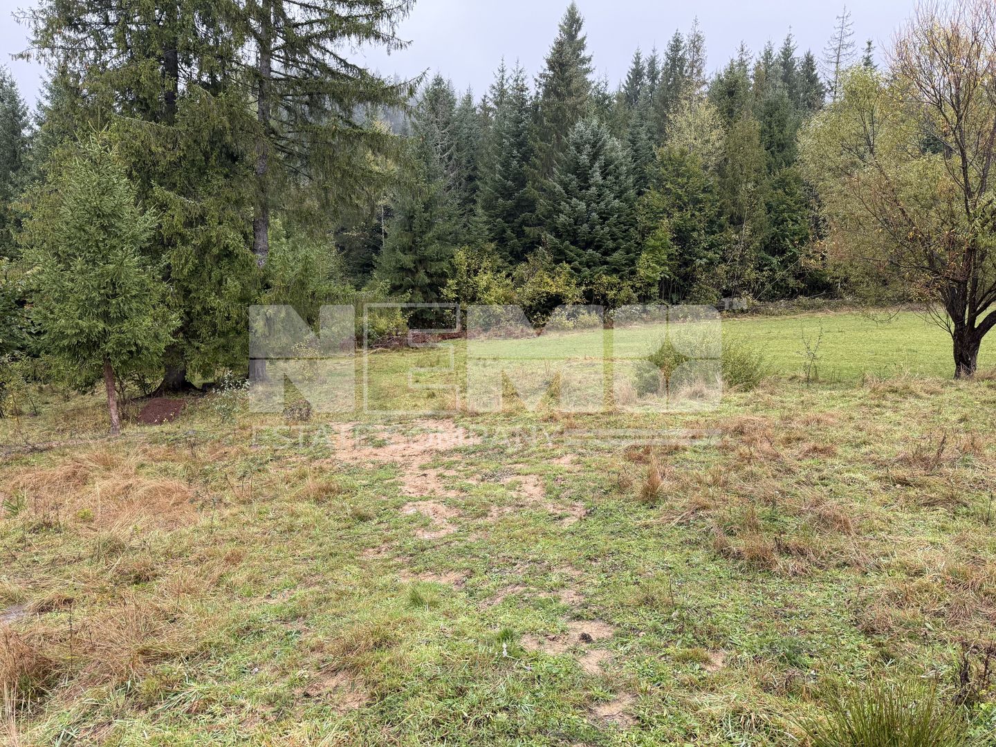 Teren Extravilan | 6.100 mp | Brodina | 41.500 € negociabil - Poză 11