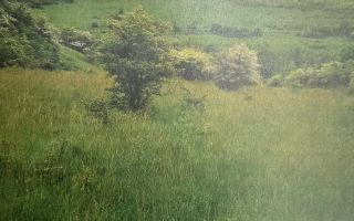 Teren Extravilan I Deschidere 80ml I Zona Gusterita-Sibiu - Poză 2