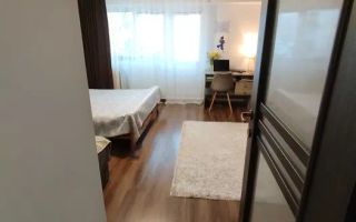 Apartament 1 camera, 39mp, decomandat et.1 // Pacurari - Rond Canta - Poză 3