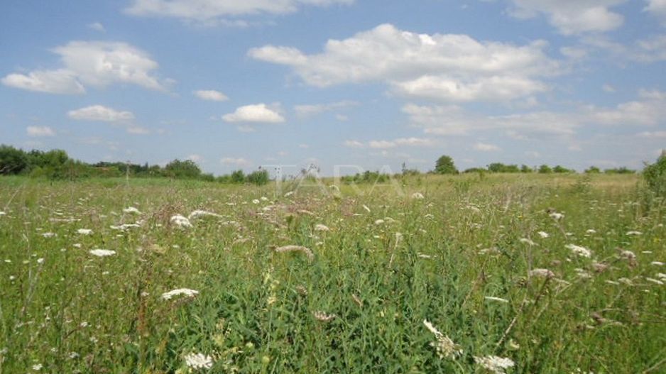 Teren 5,000mp Cluj-Napoca / Strada Intre Lacuri - Poză 1