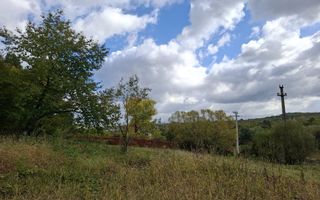 Teren intravilan cu Puz si priveliște deosebită, spre Cetatea Cisnădioara - Poză 14