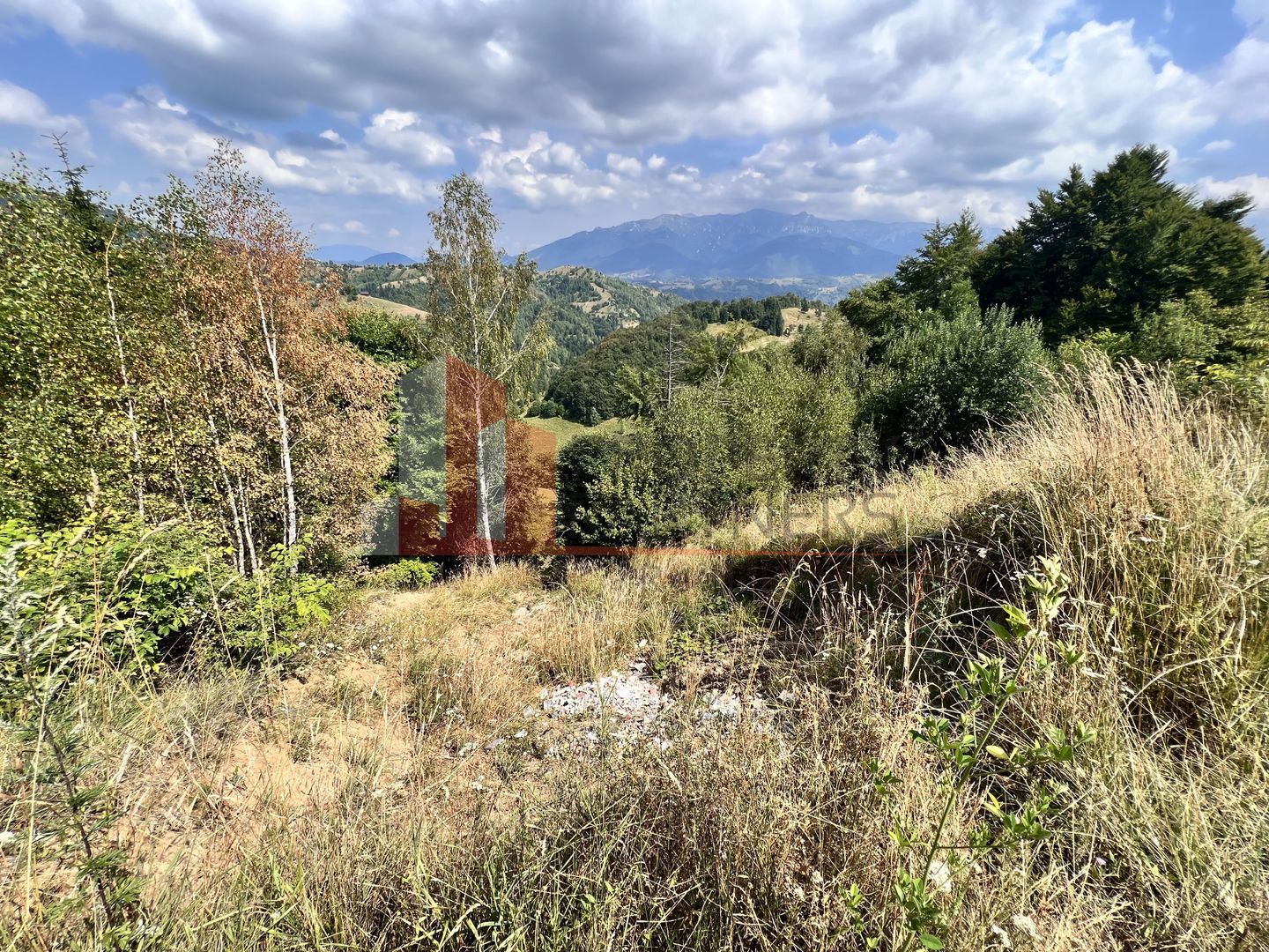 Teren de vânzare langa  Peștera Liliecilor  in Sat Pestera - Poză 28