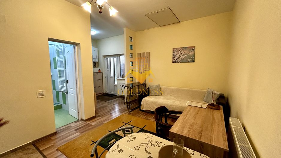 1 camera open space, 2 parcari, curte proprie, FSEGA, Iulius Mall - Poză 3