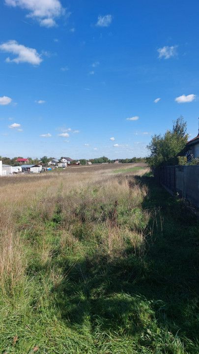 Vanzare teren intravilan, Smeura - Poză 6