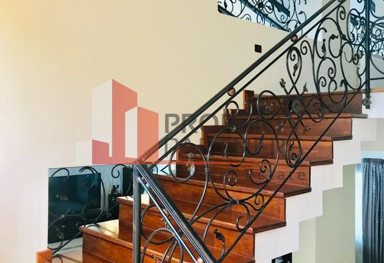 Vila superba langa padure in Pipera, Iancu Nicolae - Poză 10