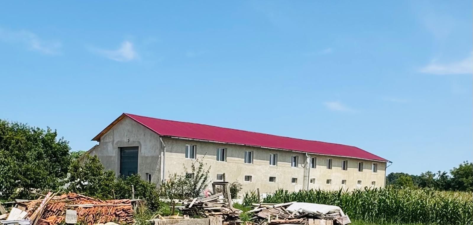 Hala 373 mp + teren in Santaul Mic - Poză 1