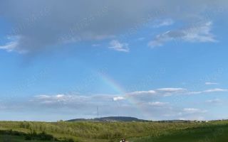 Vând teren extravilan (2026 intravilan) 2500 mp parcelabil zona hlincea lunca cetatuii - Poză 6