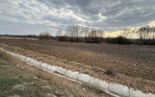 Teren extravilan | Rădăuți | 36 ARI - Poză 5