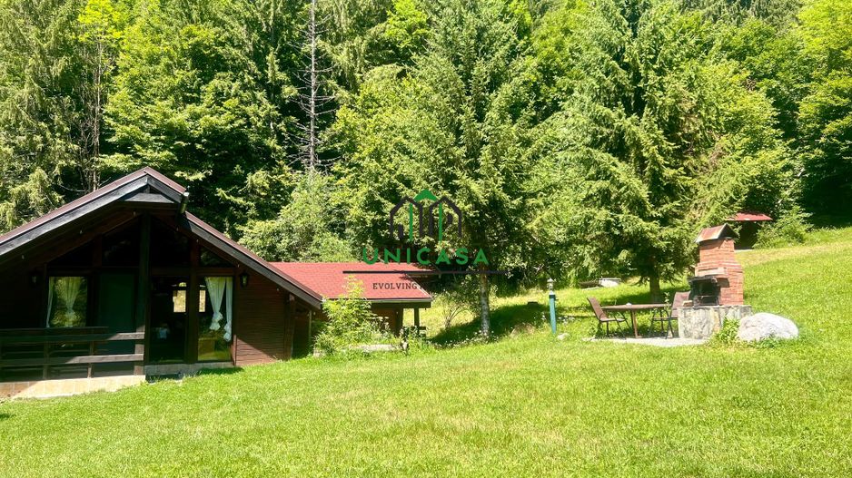 Proprietate deosebita de vanzare – Voinesița, Comuna Voineasa - Poză 8